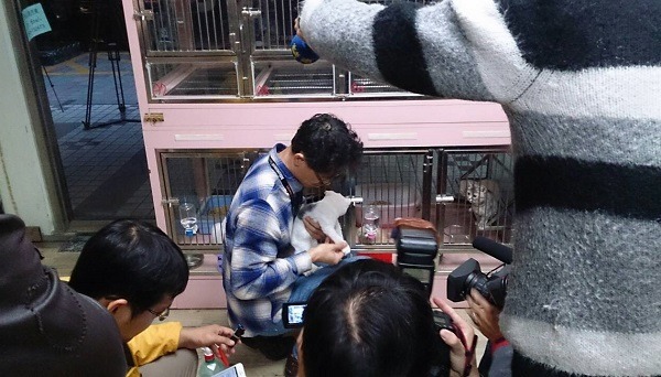 台北市動保處昨天下午派員至發生幼貓啃食同伴屍體「狗の家」寵物店查察，認為現場貓隻的情況良好。  台北市動保處/提供