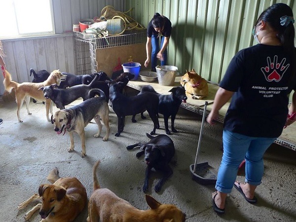 朝陽科大動保社學生到狗園幫忙。  取自狗狗山粉絲專頁
