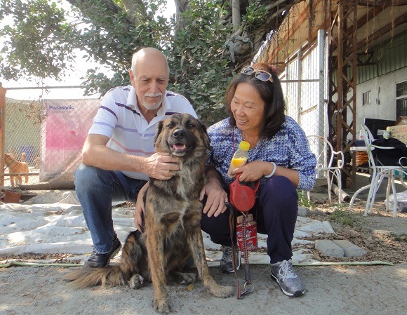 志工夫妻帶Chico回「娘家」。  江幸芸/攝