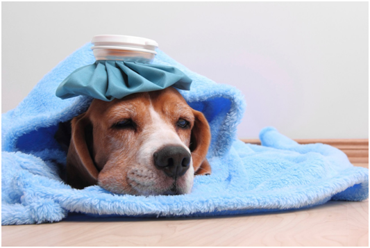 取自LWA/蓋蒂影像