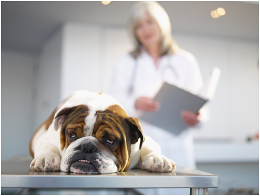 取自LWA/蓋蒂影像