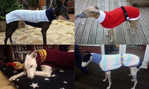 無論是銷售的商品，或捐給收容所的贈品毛衣，珍都費心編織，每件都要花上20小時以上。 取自網路