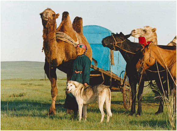 一位蒙古女人與她的大篷車，和包括狗在內的一群動物，將旅行到蒙古的肯特省（Khentii Province）噶拉夏（Galshar）。取自Getty Images