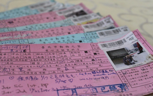 從這張狗卡上可以了解狗是103年12月8日進入內湖動物之家的，醫療和絕育紀錄也都有。  江幸芸/攝