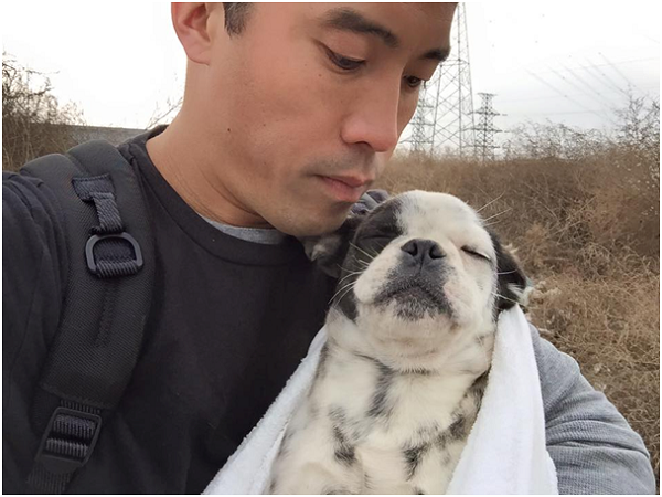 這隻小狗很幸運的被秦帶回美國。取自thedodo.com