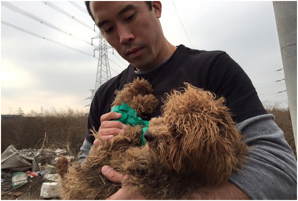 遭到電擊的狗狗，還好遇到了馬克•秦及時救援。取自thedodo.com