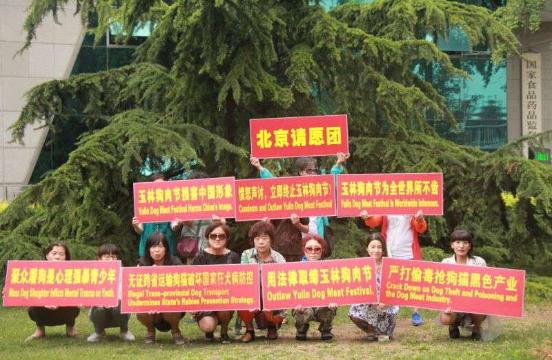 中國動保團體為救狗貓揭竿而起，並組成請願團要求北京政府制止狗肉節。 取自網路