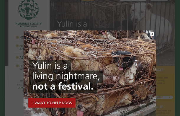 玉林人的節日、動保人士的惡夢，今年狗肉節是否又會重演「狗煉獄」的駭人戲碼? 各界關注。 取自HIS官網