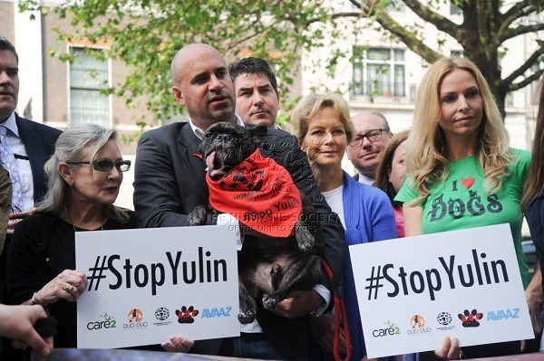 國際動保團體和愛狗人士早在6月10日就已向中國政府遞交連署書，呼籲終止玉林狗肉節。  取自HIS官網