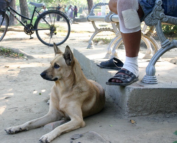 在公園常可以看到遊民與狗相依為命。 蕭士塔/攝