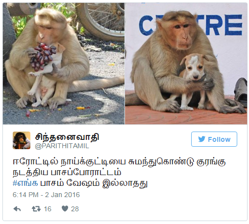 印度當地人士在這個月初熱傳這個故事，再被國際媒體爭相傳播，成為寒天中的暖流。 取自網路