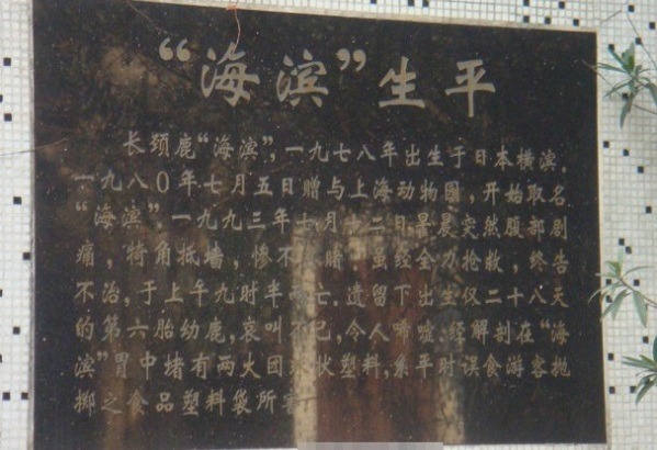 早在1993年上海動物園的長頸鹿就因誤食包裝袋死亡，園方為牠立碑紀念，並警告遊客勿再投擲餵食。  取自網路
