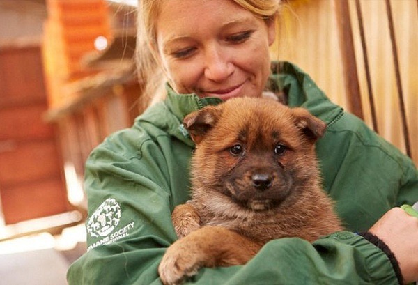「改變動物命運基金會」的英國籍創辦人韋伯,和她從韓國肉狗場救出的小狗。但她這種以錢買狗的方式,也引發相當大的爭議。 取自每日郵報