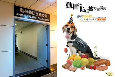 防檢局提醒：想帶寵物出國，務必要申報檢疫，並了解對方國的檢疫規定。 　