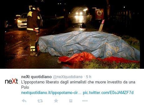 艾伊莎命喪公路車禍,成為當地媒體報導的焦點。 取自網路