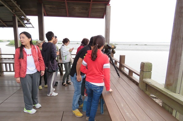 位於台南七股的黑面琵鷺保育中心，假日聚集了許多賞鳥遊客。蕭士塔/攝