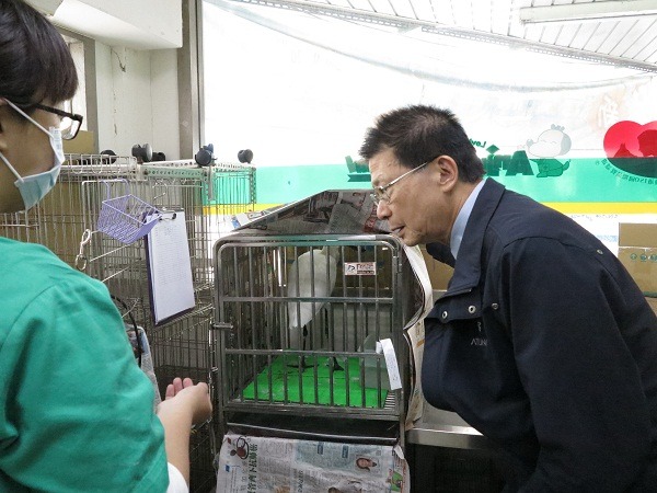 台南市動保處處長李朝全前往慈愛動物醫院了解病鳥情況。 蕭士塔/攝