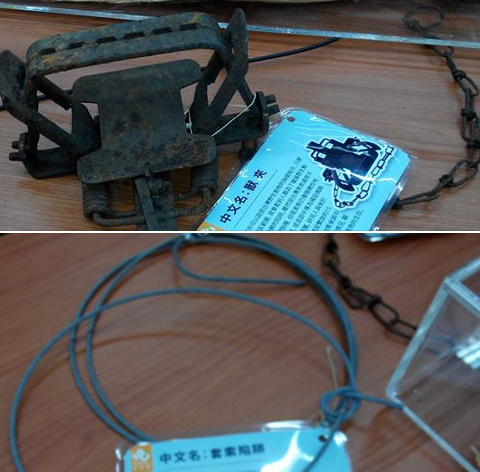 上圖：獸鋏。下圖：套索陷阱。瑭芯／攝