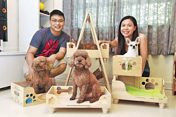 在救狗場結識的香港情侶Frankie和Eddy，以廢棄的紅酒箱製成精緻的寵物床。 截圖自香港《晴報》