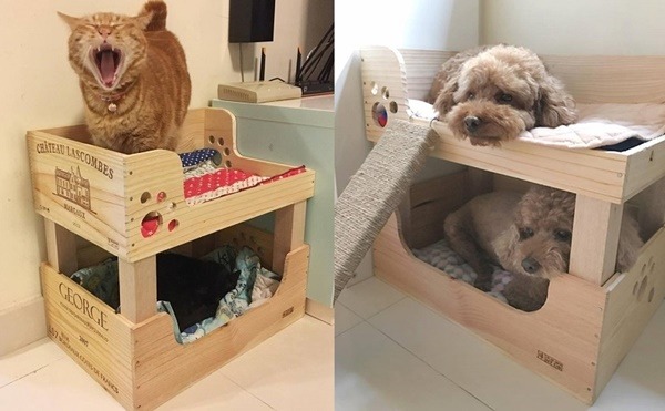 因應香港居住空間狹小的現實環境，Frankie特別設計上下舖的寵物床組，以節省空間。取自「木‧生氣」臉書