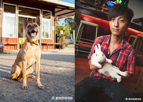 店狗「必魯」十分機靈,只要聽到廚房按下出餐鈴聲,就會等著跟隨服務人員一起去送餐!而店兔「毛毛」和店狗焦糖感情好。