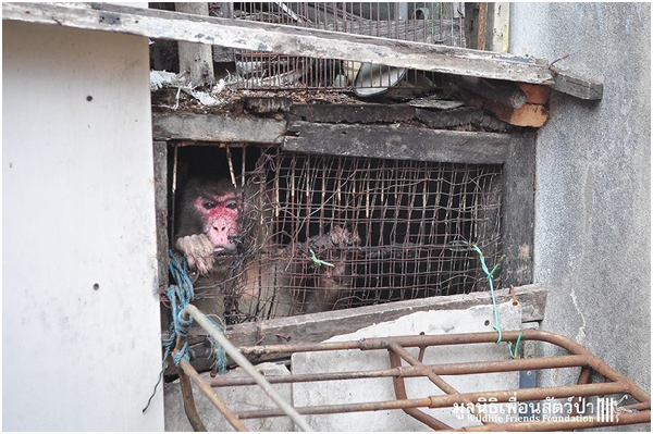 喬生存的這個環境，被救援人員稱之為地獄深坑，夾在兩棟建物之間。取自WFFT