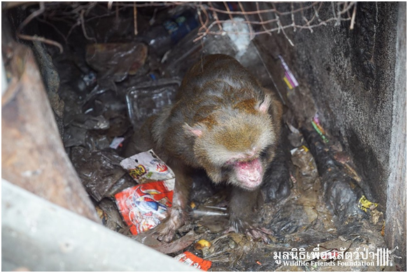 喬的居住環境難以想像，地面堆積著垃圾和汙穢。取自WFFT