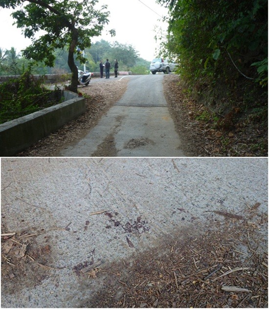 上圖: 廣興派出所所長陪同實勘事發現場。下圖:事發現場的道路仍留有陳先生受傷的血跡。　瑭芯/攝　　