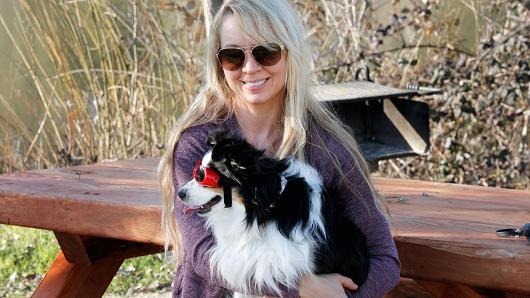 蘿妮承認不是每隻狗都肯戴上能防紫外線的護目鏡。 取自網路