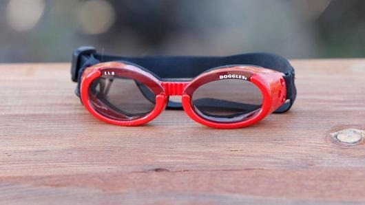 Doggles護目鏡擁有專利,讓蘿妮曾打贏侵權官司。 取自網路