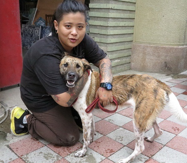 王勤靜以不藝術家自許，只想靠著繪畫天分，用義賣所得照顧更多的流浪狗。   蕭士塔/攝  