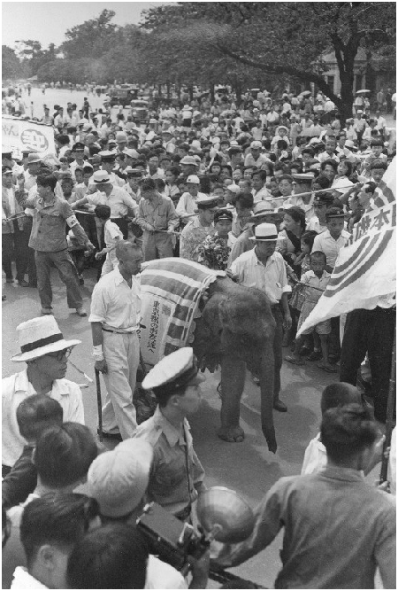 1949年9月，原名嘎嘉的花子抵達東京，四周擠滿了看熱鬧的民眾。 取自每日新聞