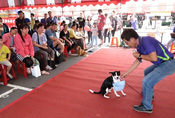 黃連發協助動保處篩選調教流浪狗，藉以提高認養率。蕭士塔/攝