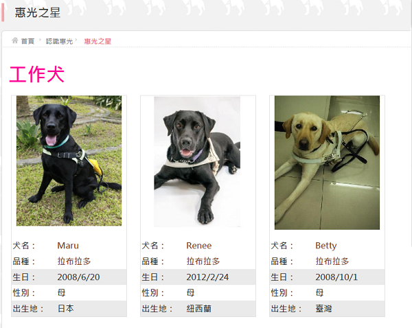 在惠光導盲犬學校的官網頁面上，可以看到多隻現任導盲犬已近 8歲高齡 。  取自網路