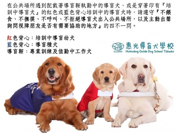 蔡英文總統將領養的3隻退役導盲犬，毛色分別是咖啡、黃和白，與這張惠光導盲犬海報中的模特兒狗隻剛好一樣。 取自網路
