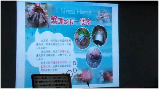 黃淑凰在墾丁青年活動中心後方，離海邊600米的地方建置了「快樂天堂」，讓寄居蟹來此換殼。 瑭芯/攝