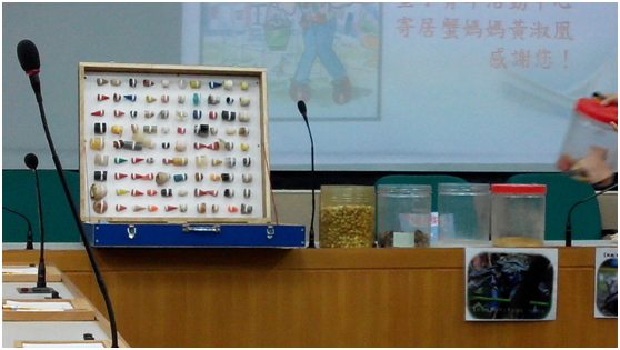 寄居蟹更換下來的數百種「垃圾殼」，有生鏽水管、舊瓶蓋、破碎玻璃，甚至奶粉勺、乒乓球…等等，即便你想不到的，牠都能穿。瑭芯/攝