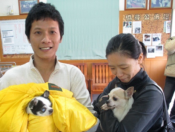 住高雄市的李姓市民(右)認養因兇猛咬人被主人送交的吉娃娃(左側)。  蕭士塔/攝