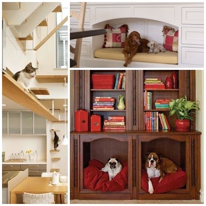 為了讓寵物有舒適的空間，美國出現許多客製化家具和裝潢。 取自網路