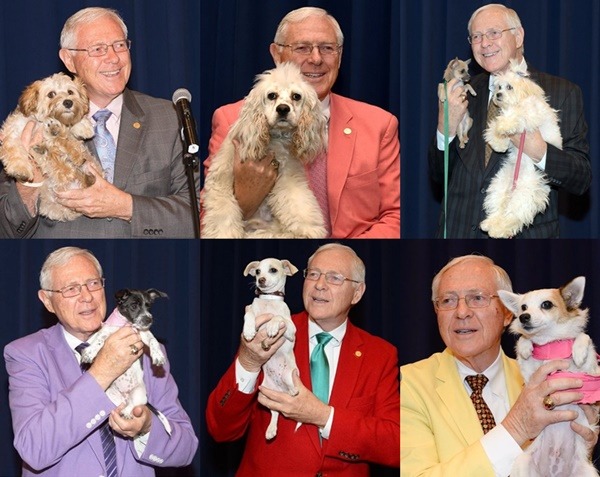 提案人安托諾維克當然是愛狗人，他熱愛動物救援，以每週一狗的方式，努力送養收容所裡的浪浪。取自laist.com