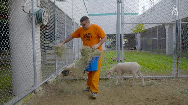 設在監獄裡的動物園，還由重刑犯擔任保育員，你是不是覺得很酷呢？    YouTube截圖