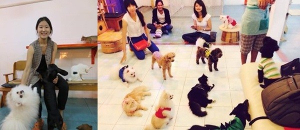 韓國籍女性Joey開設了金邊市的首家寵物餐廳,提供自家的15隻貓狗和客人互動。 取自網路