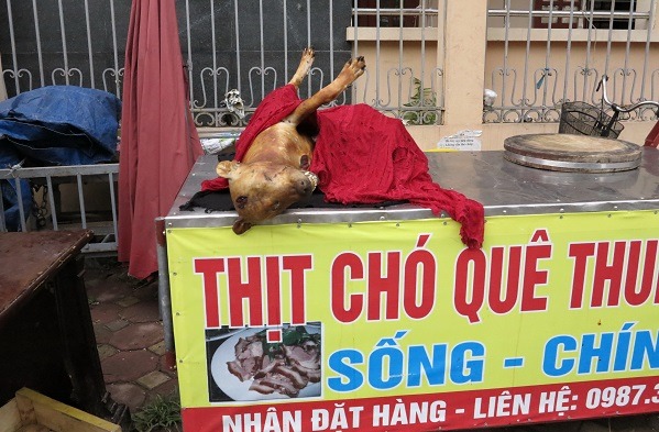 越南盛行吃狗肉，估計有80%的民眾是食狗肉族。 蕭士塔/攝