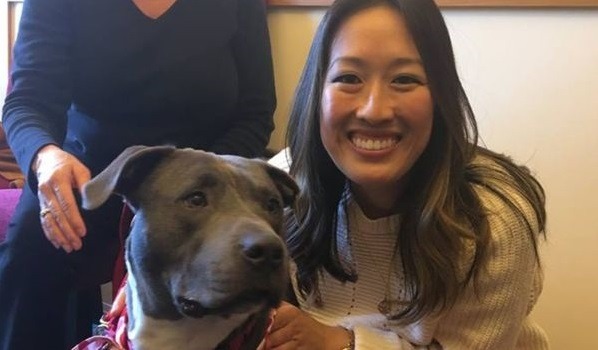 Katy Tang湯凱蒂以捍衛人權和動物權益知名，她本身也很愛狗，擔任中途之家。取自bbc.co.uk