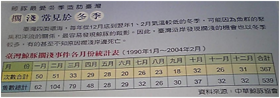 中華鯨豚協會1990.1－2004.2台灣鯨豚擱淺事件各月份統計顯示，每年10月至隔年3月是台灣鯨豚擱淺旺季！ 取自中華鯨豚協會資料 