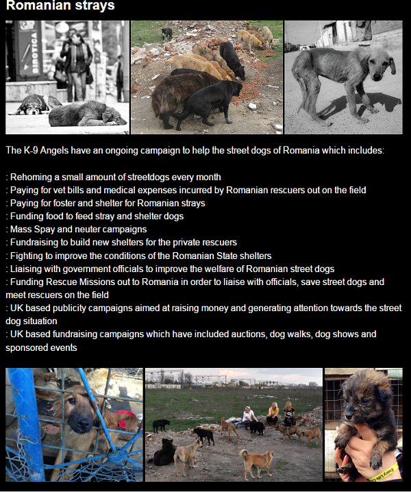 英國救援組織K-9 天使(K-9 Angels)的官網上有羅馬尼亞專頁，公告他們在羅馬尼亞進行的任務。  取自網路