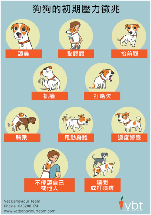 資料來源：VBT