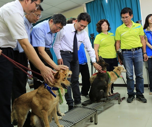 柯文哲與台南灣裡動物之家的4隻工作犬合影。　蕭士塔/攝
