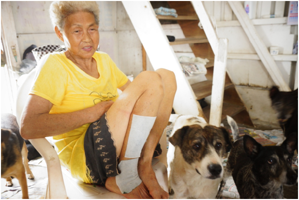 今年82歲的柯阿嬤，守護流浪狗近50年，總是洋溢著有狗萬事足的樂觀。 瑭芯/攝