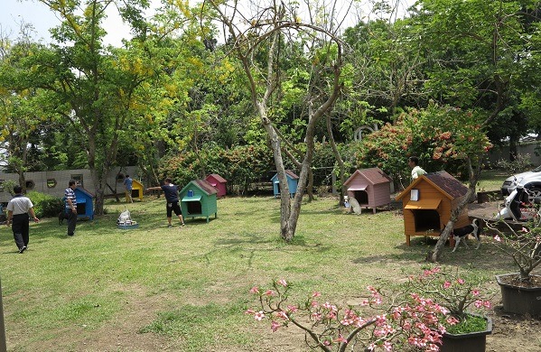 在收容所庭園擺設色彩鮮艷的木造犬舍，彷彿露營區，容易引起民眾注意。 蕭士塔/攝